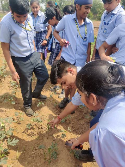 FIELD TRIP FOR CLASS VIII